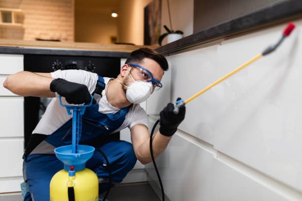 Best Insect Control  in Springville, IA