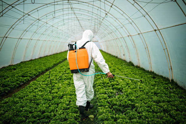 Best Pest Inspection Near Me  in Springville, IA