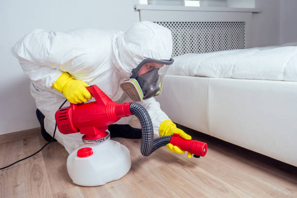 Best Pest Control for Businesses  in Springville, IA