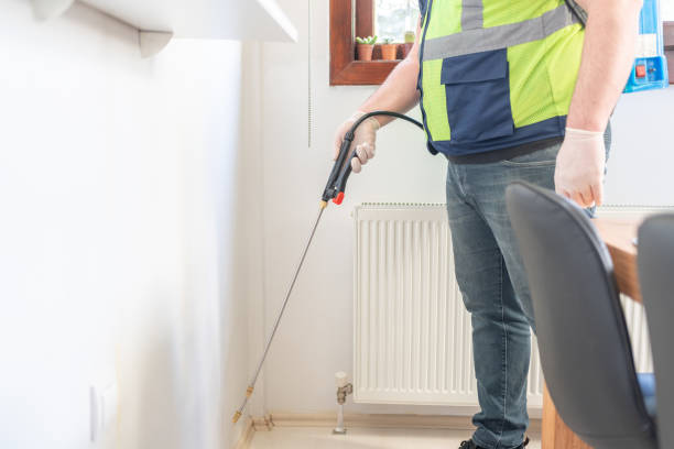 Best Pest Removal Services  in Springville, IA