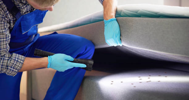 Best Commercial Pest Control Services  in Springville, IA